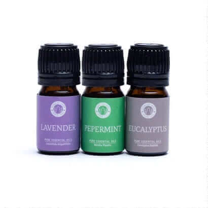 Breath of Nature: Breathe Aromatherapy Essential Oil Set by Song of India